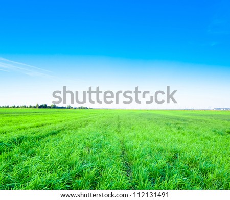 Grass Area Natural Beauty Country Meadow