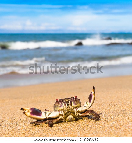Alien Creature Funny Crab