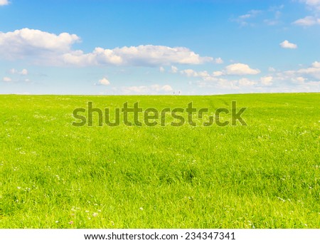 Field Grass Area