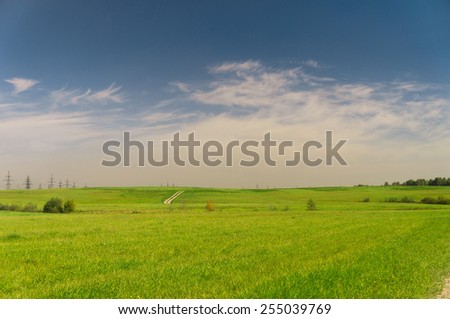 Green Plain Field Landscape