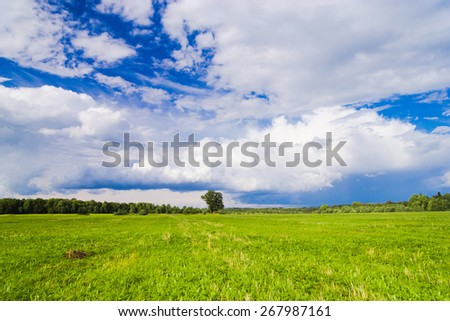 Green Plain Scenic View