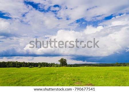 Green Plain Field Landscape