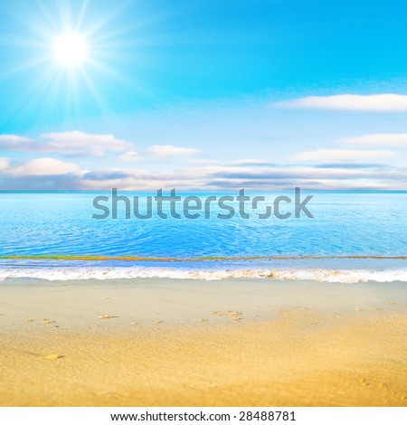 beach under sun