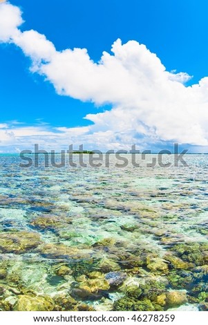 Coral waters