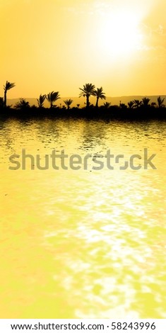 Liquid Gold of African Sunset