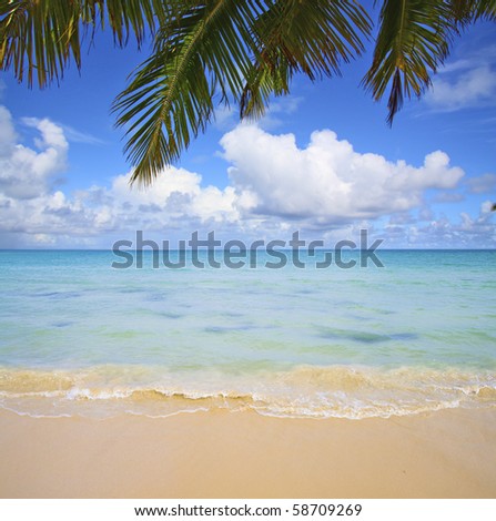 Waves under Palms