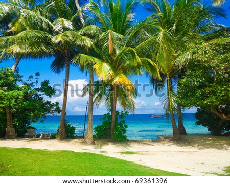 Landscape Holiday Palm