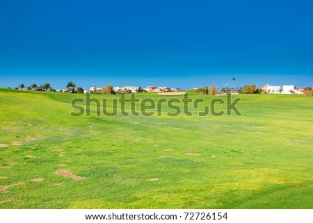 Perfect Grass Area