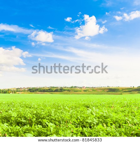 Fields of Green Farming Grass Area