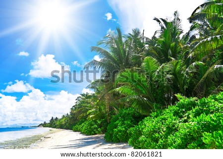 Palms and Sun Holiday Destination