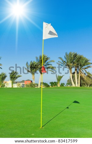 Waving Golf Flag