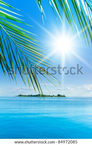 Resort Fantazy Tropical Sunshine