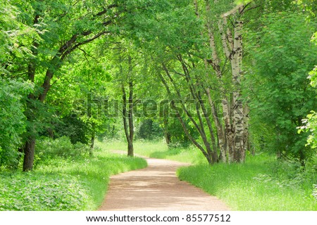 Trees of Green Sunlit Path Green Wallpaper