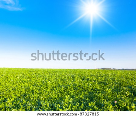 Grass Land Sun in the Sky
