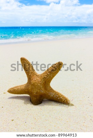 Idea Stars Sea