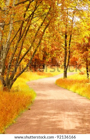 Fall Wallpaper Trees of Yellow