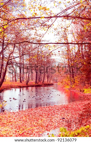 Woods Landscape Autumn Leaves