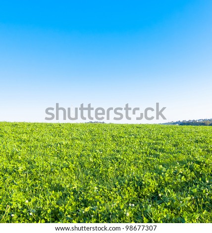 Country Meadow Grass Area Farming