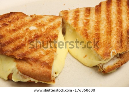 Toasted cheese sandwich with melting cheese oozing out.
