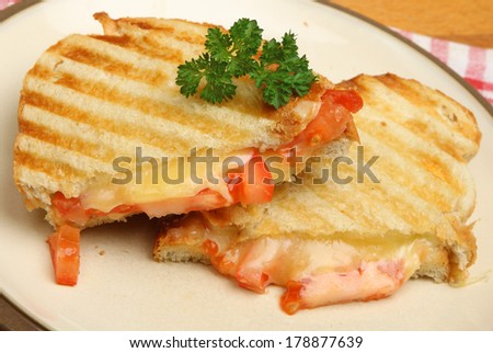Toasted sandwich with cheese and tomato.