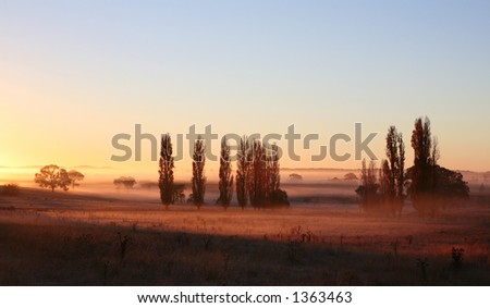 Misty dawn at Gostwyck, NSW, Australia
