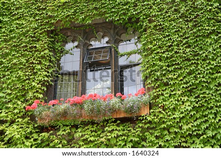 Neo-gothic style window with flower box