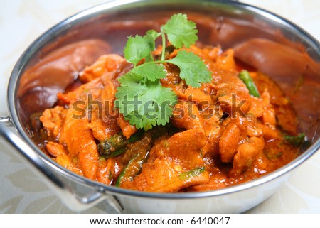 Indian Curry garnished with fresh coriander