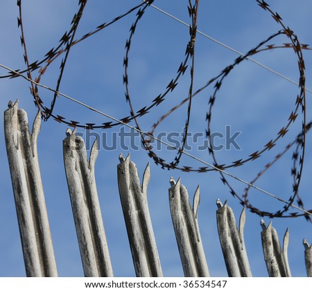 Old palisade fencing with razor wire