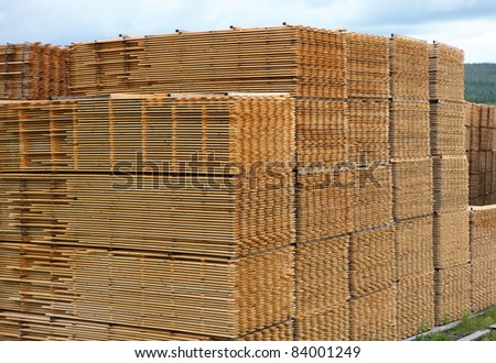 Rough sawn timber planks stacked for drying in timber yard.