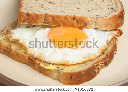 Fried egg sandwich with granary bread.