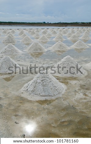 Production of sea salt, dried salt crystals are white