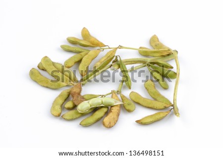 Soybeans (Glycine max (L.) Merrill)
