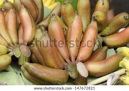 Red banana, Musa acuminata \'Kluai Nak\' name Thailand (Musa sapientum L.).
