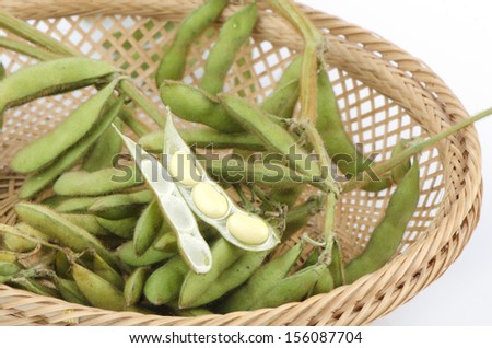 Soybean (Glycine max (L.) Merrill)