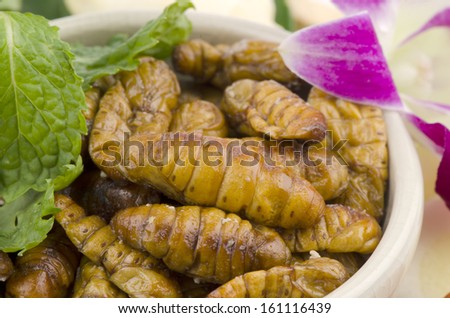 fried silkworms. foods with nutritious ingredients, particularly in the energy, protein, fat and minerals.