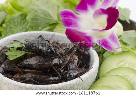 fried Ensiferum (Orthoptera), a nutritious diet, especially in the matter of energy, protein, fat and minerals.