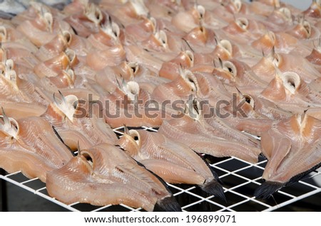 Fishes (snake-head fish) dried.