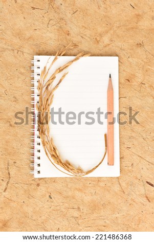 Dried rices, white paper, pencil. Background on mulberry paper.