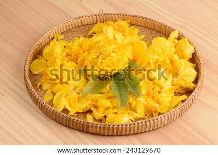 Yellow Silk Cotton, Butter-Cup (Single), Butter-Cup (Double)