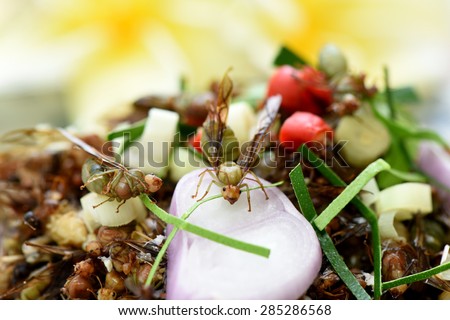 Red Ant egg salad, salad seasoned with pepper. , Lemon grass, kaffir lime leaves and shallots.