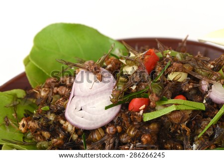 Red Ant egg salad, salad seasoned with pepper. , Lemon grass, kaffir lime leaves and shallots, herbs for health.