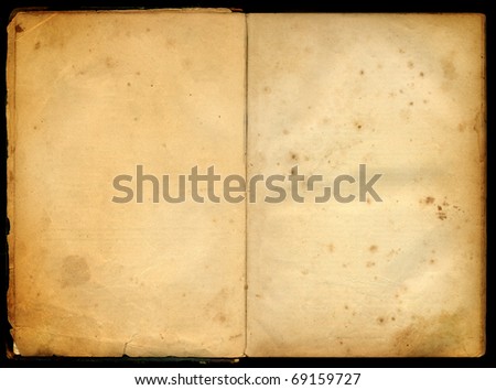 Two blank Pages in ancient Book