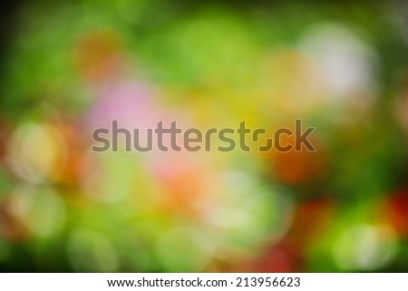 abstract blurred colorful background with bright colors