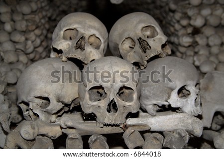 stock photo human skull pile with bones on dark background