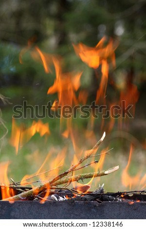 orange campfire shot in natural light