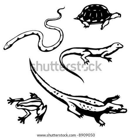 Five stylized, vector illustrations of reptiles and amphibians