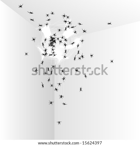spiders hatching from a nest (vector version also available)
