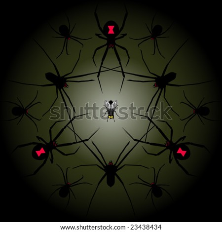 House Fly Tattoo