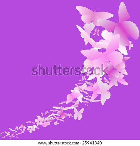 wallpaper pink butterfly. stock photo pink butterfly