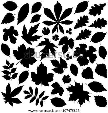 Leaf collection - vector silhouette